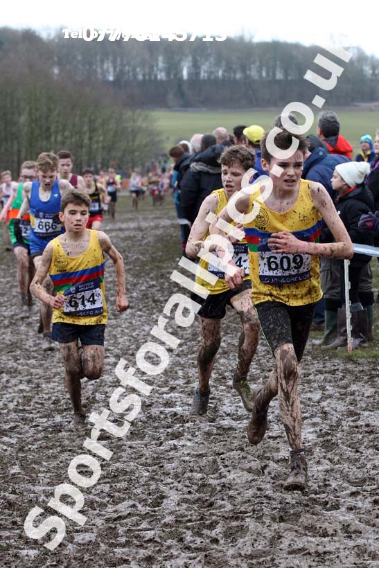 Boys under-13s 2018 British Inter Counties Cross Country Champs., Prestwold Hall, Loughborough. Photo: David T. Hewitson/Sports for All Pics